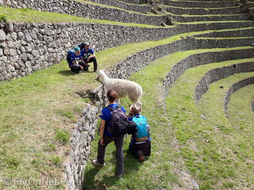 Fotoalbum: Machu Picchu