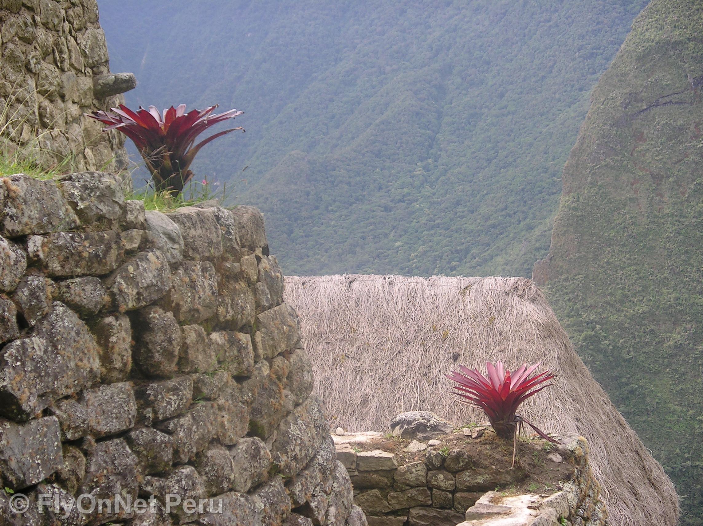 Fotoalbum: Machu Picchu